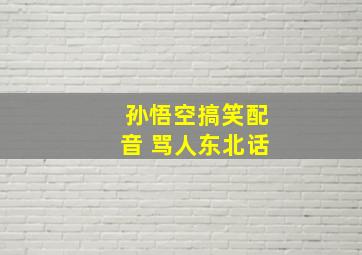 孙悟空搞笑配音 骂人东北话